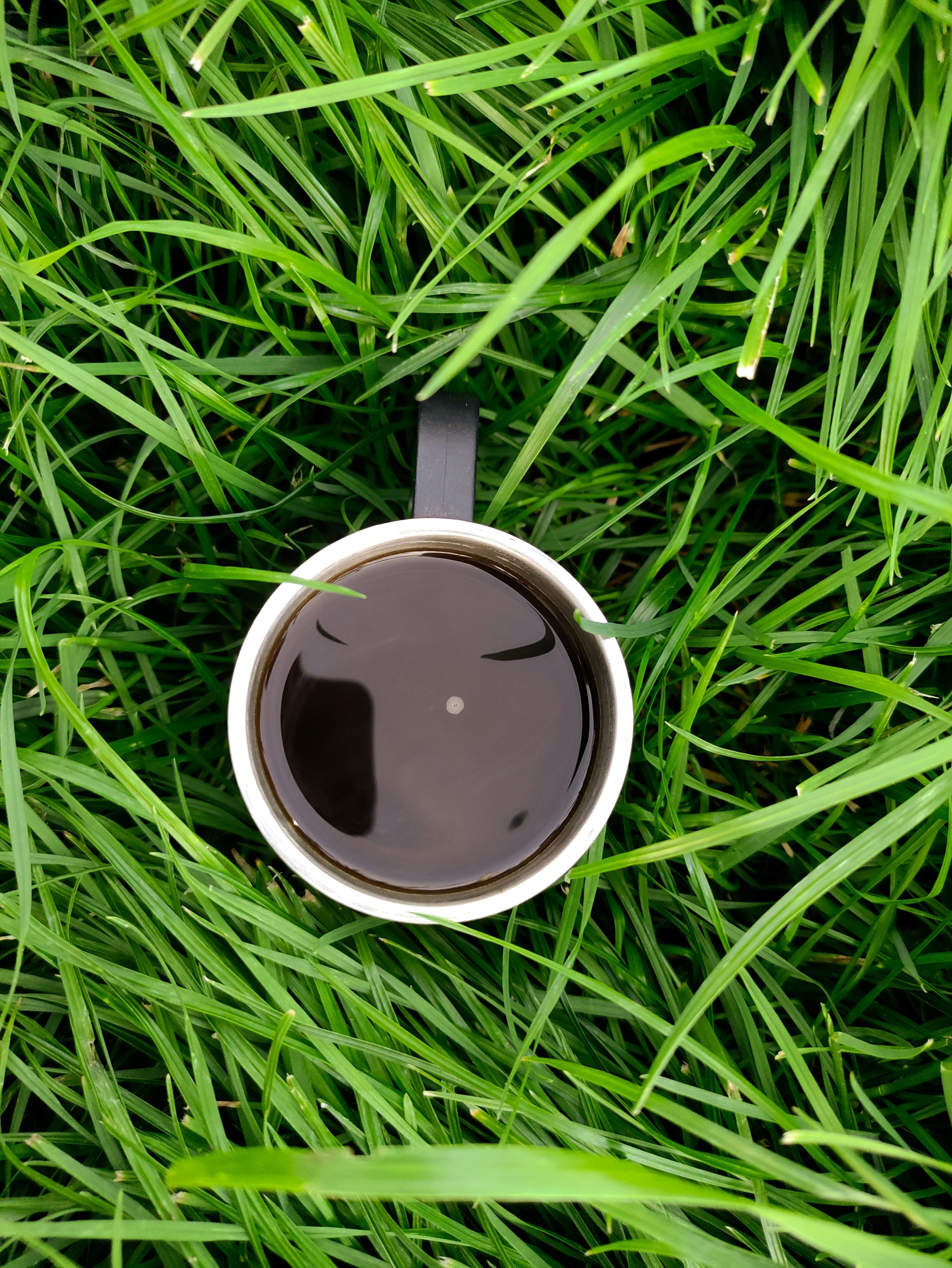 Are Coffee Grounds Good for the Garden?